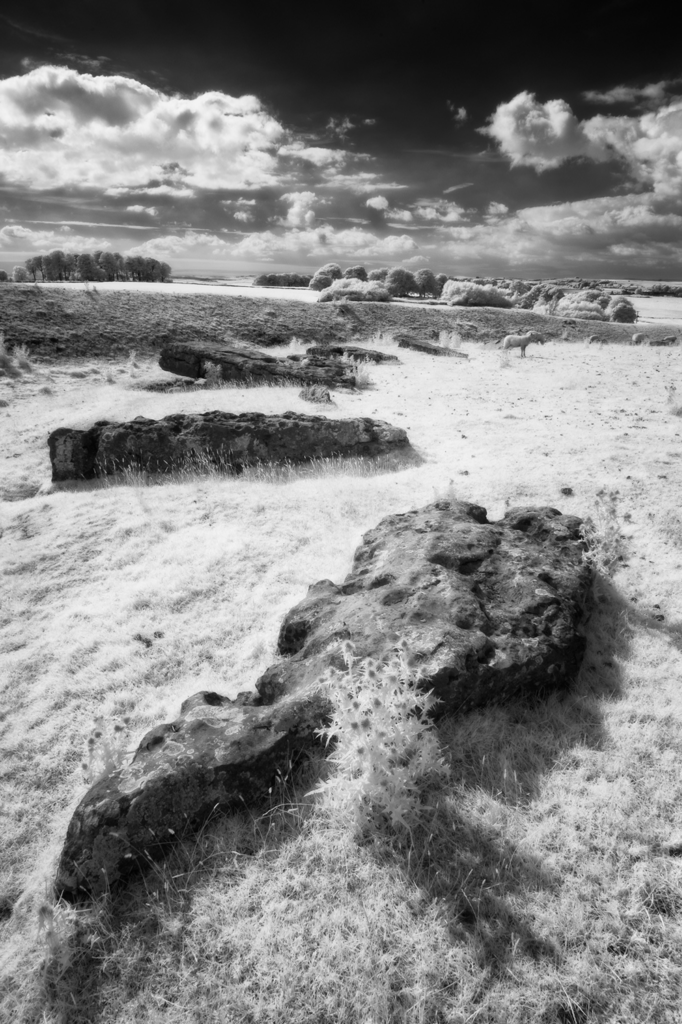 Arbor Low Stone Circle, Derbyshire, England.